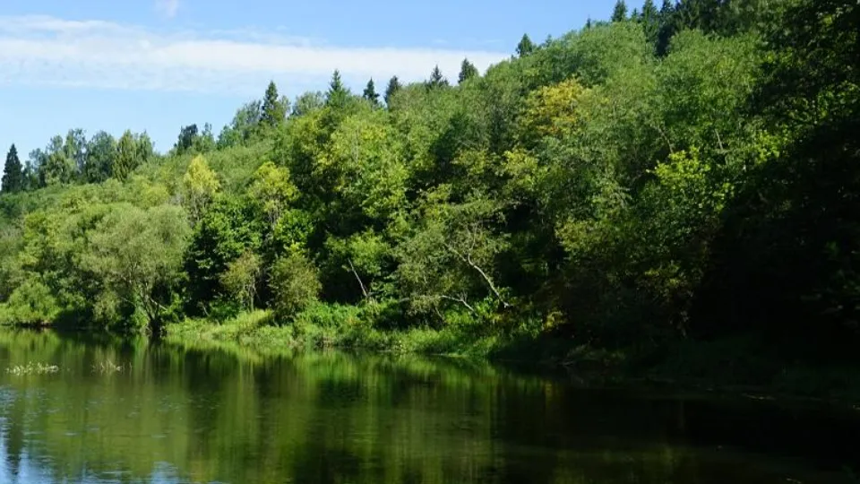 Фото: Минэкологии МО