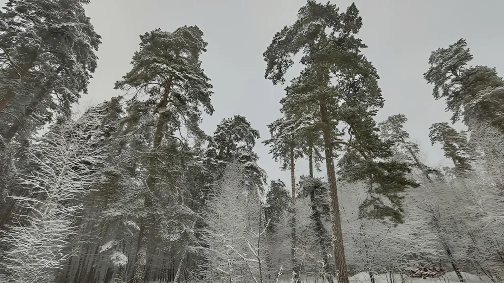 Фото: REGIONS/Алексей Селиверстов