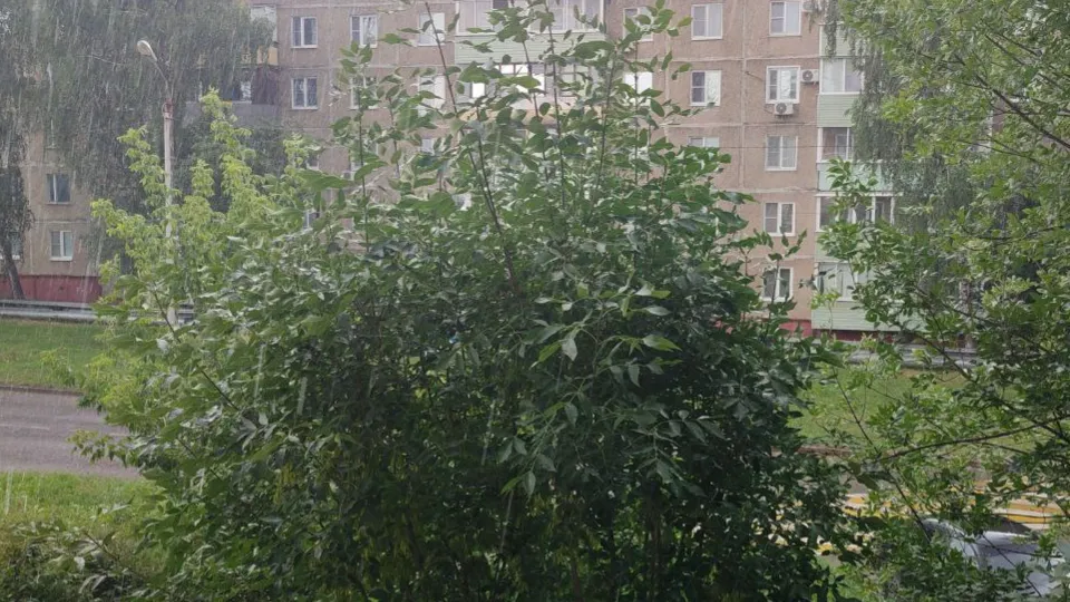 Фото: REGIONS/Елена Забелина