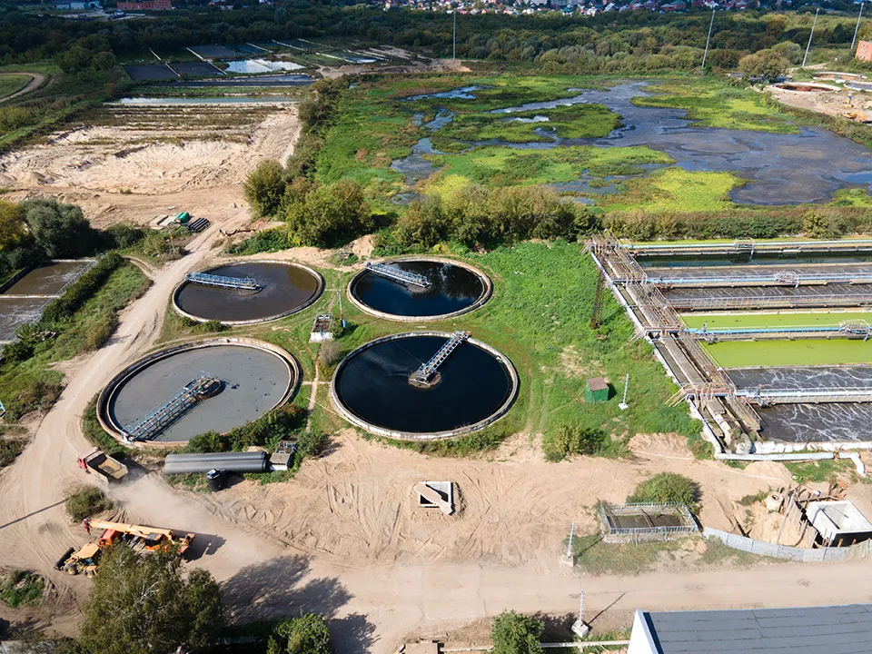 Фото: пресс-служба губернатора и правительства Московской области
