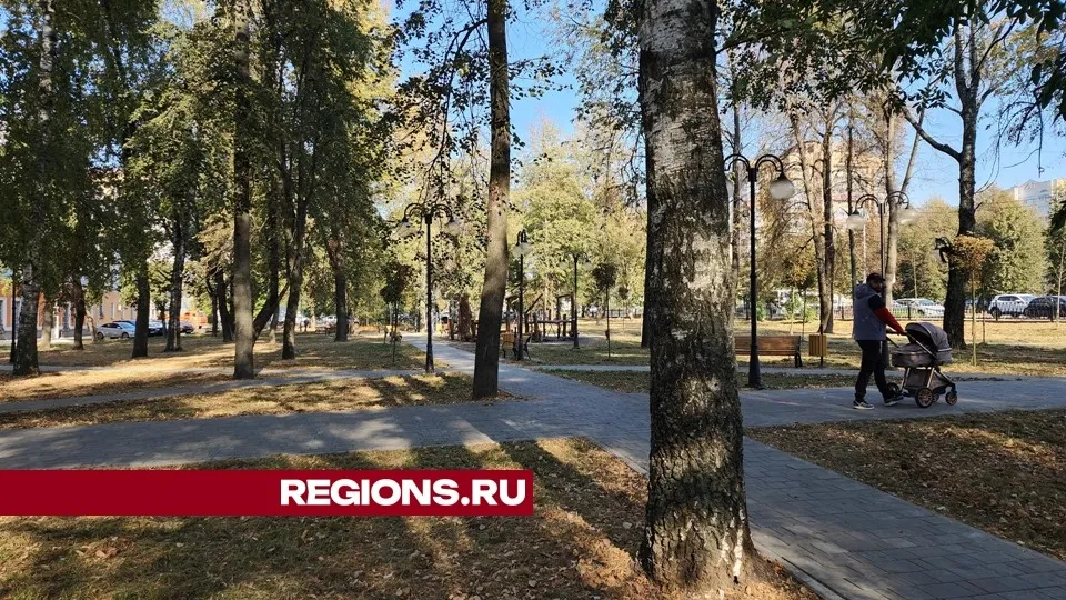 Фото: REGIONS/Александр Степушкин