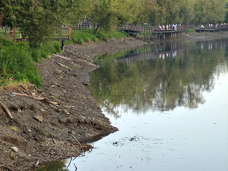 Фото: REGIONS/Алексей Селиверстов