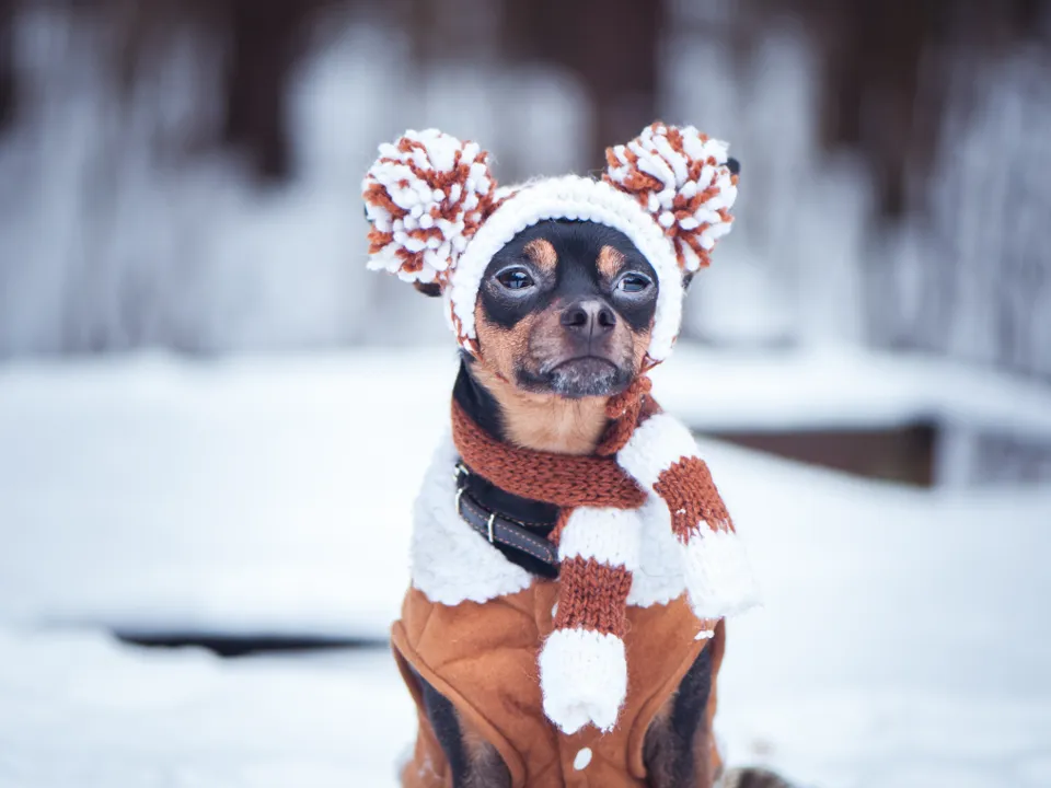 Фото: istockphoto.com/Mariana Mikhailova