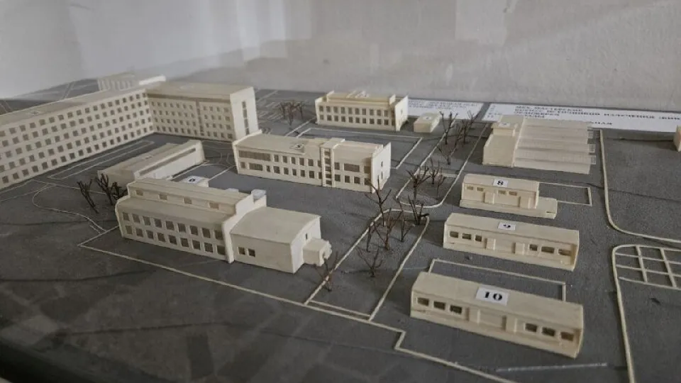 Фото: t.me/nikitenkosn