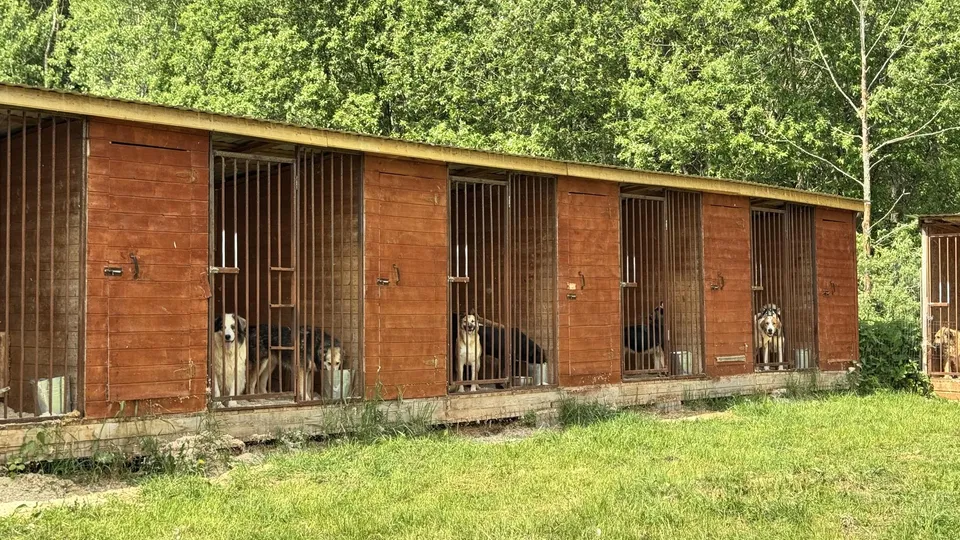 Фото: Татьяна Рунова