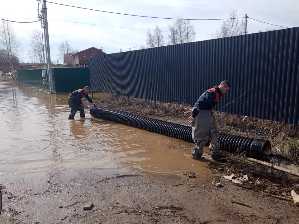 Фото: администрация м.о. Чехов