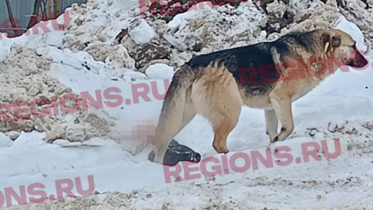 Фото: соцсети