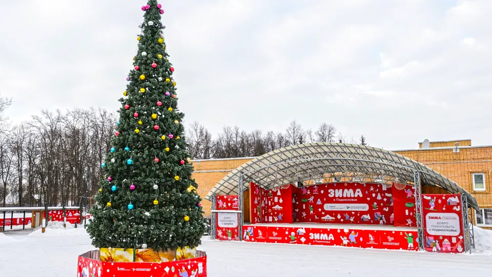 Фото: медиасток.рф