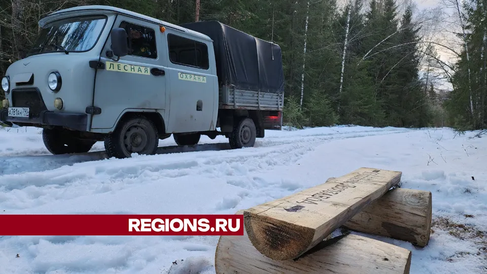 Фото: Юлия Андросова