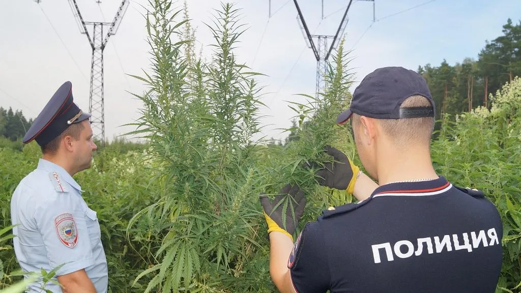 Фото: УМВД по Ленинскому