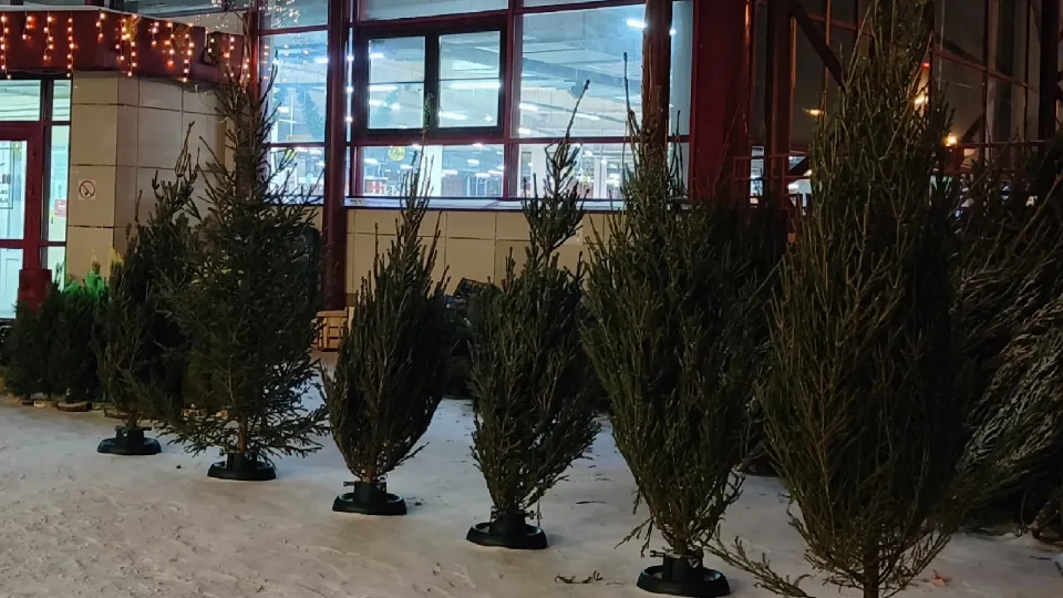 Фото: Александр Гуляев