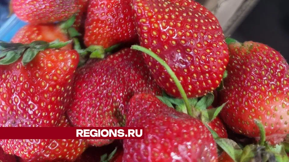 Фото: REGIONS/Юлия Алабина