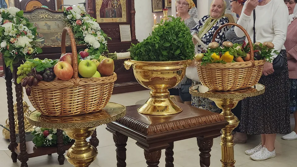 Фото: МедиаБанк Подмосковья/Светлана Борщева