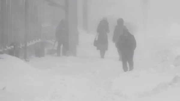 Максим Богодвид / РИА Новости
