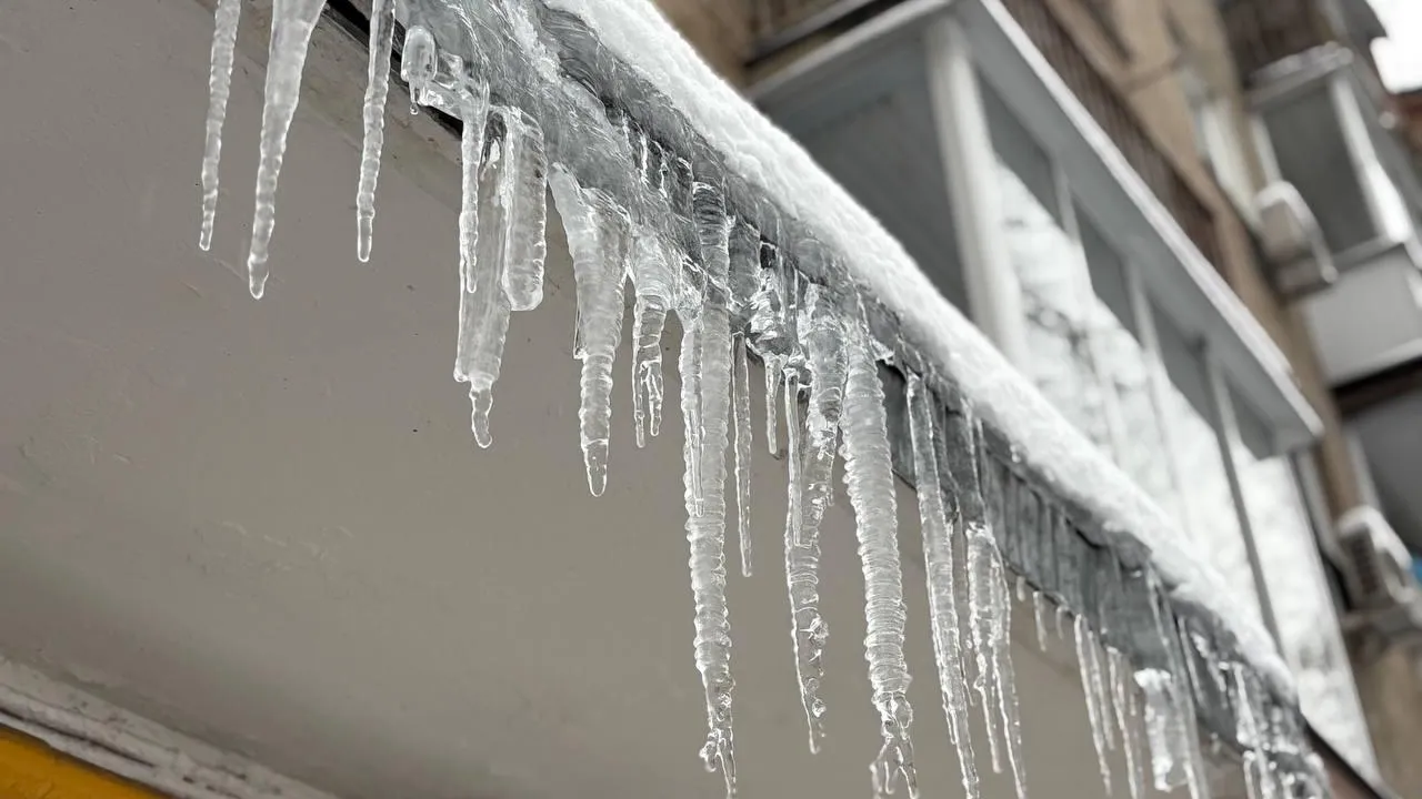 REGIONS/Полина Крачун