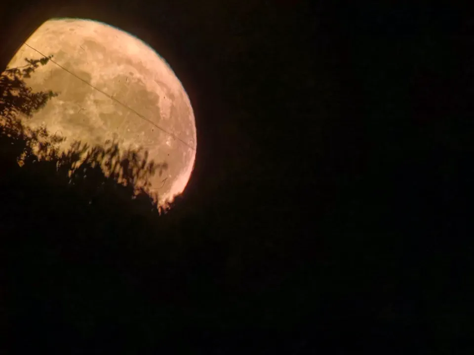 Фото: МедиаБанк Подмосковья/Яна Шаливская