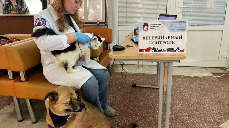 Пресс-служба Минсельхозпрода МО