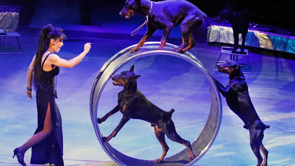 Фото: официальный сайт мэра Москвы