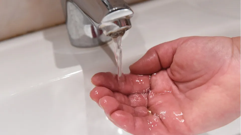 Фото: медиасток.рф