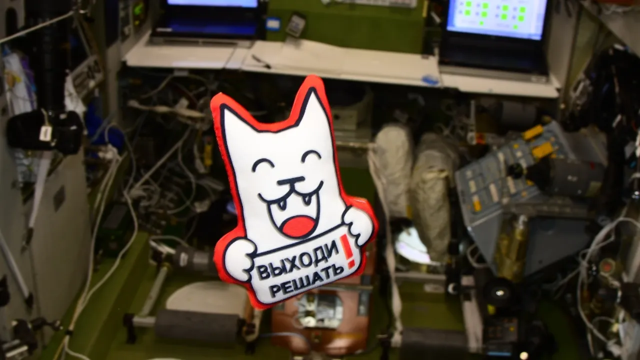 vk.com/Выходи решать!