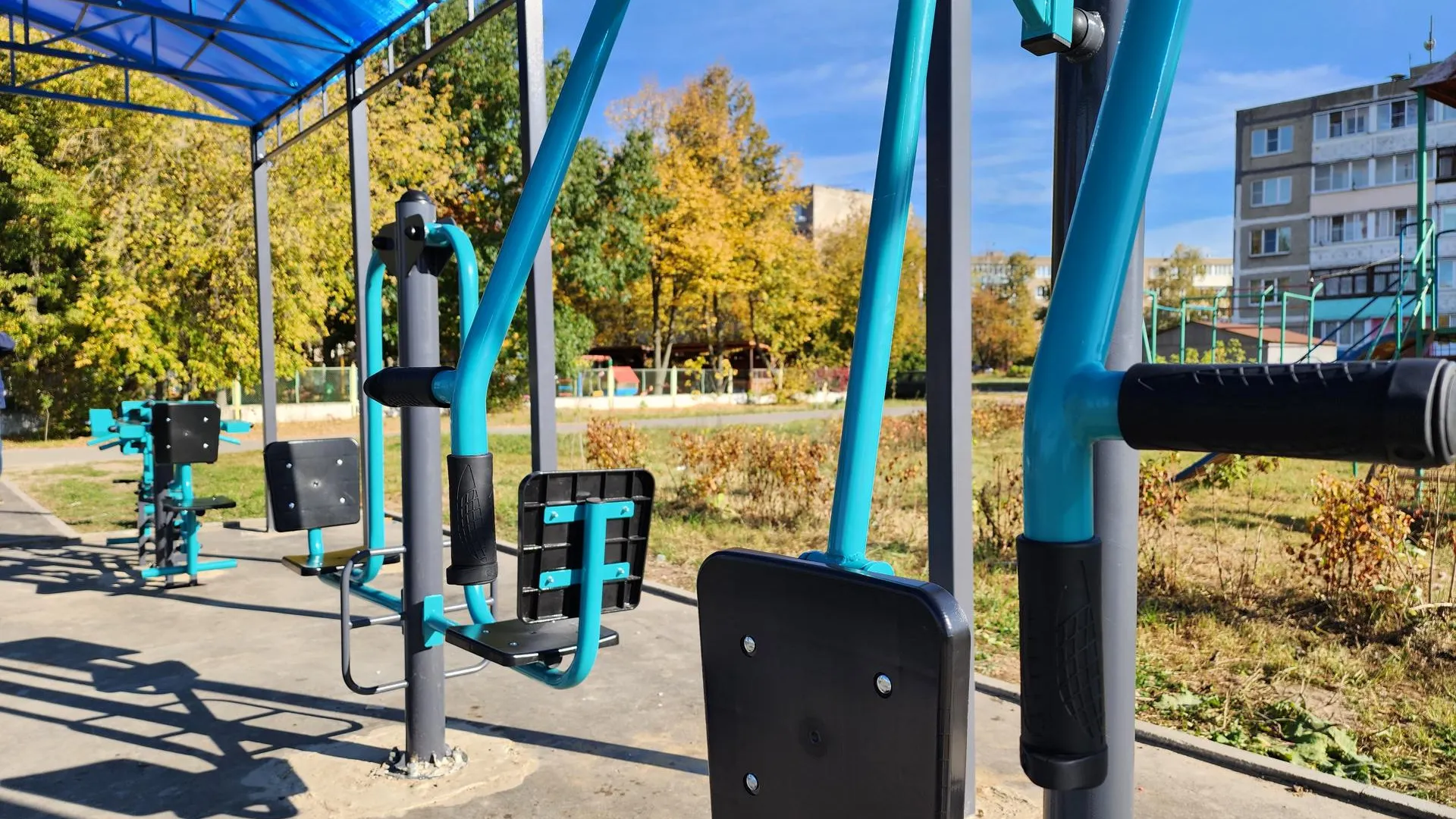 Светлана Плотникова