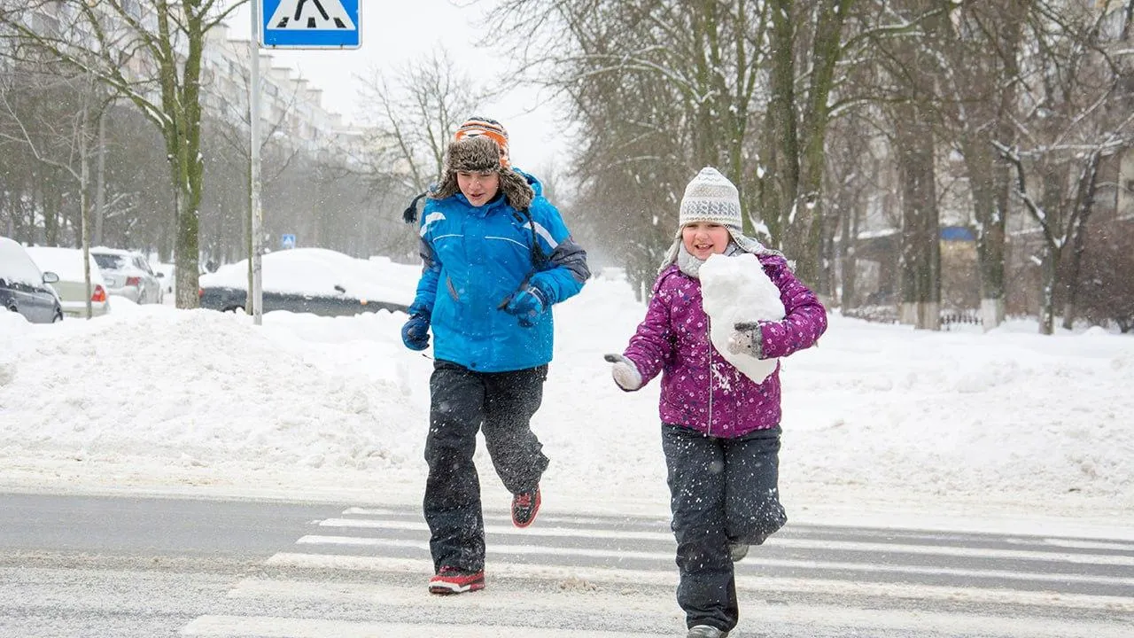 Фото: Госавтоинспекция Подмосковья / Telegram