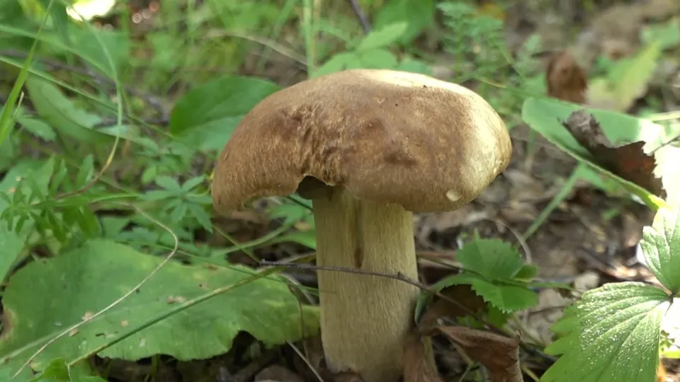 Фото: REGIONS/Наталия Надточая