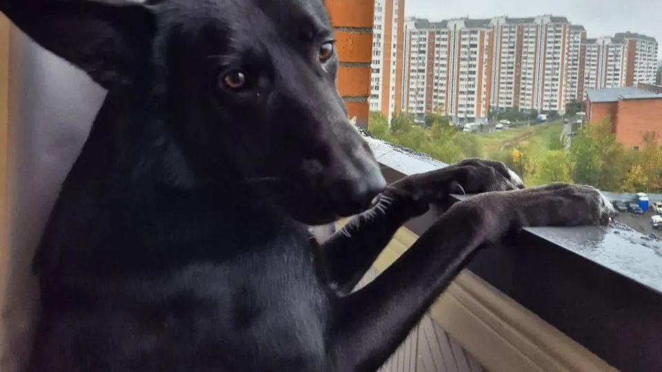 Фото: личный архив Екатерины Сергеевой