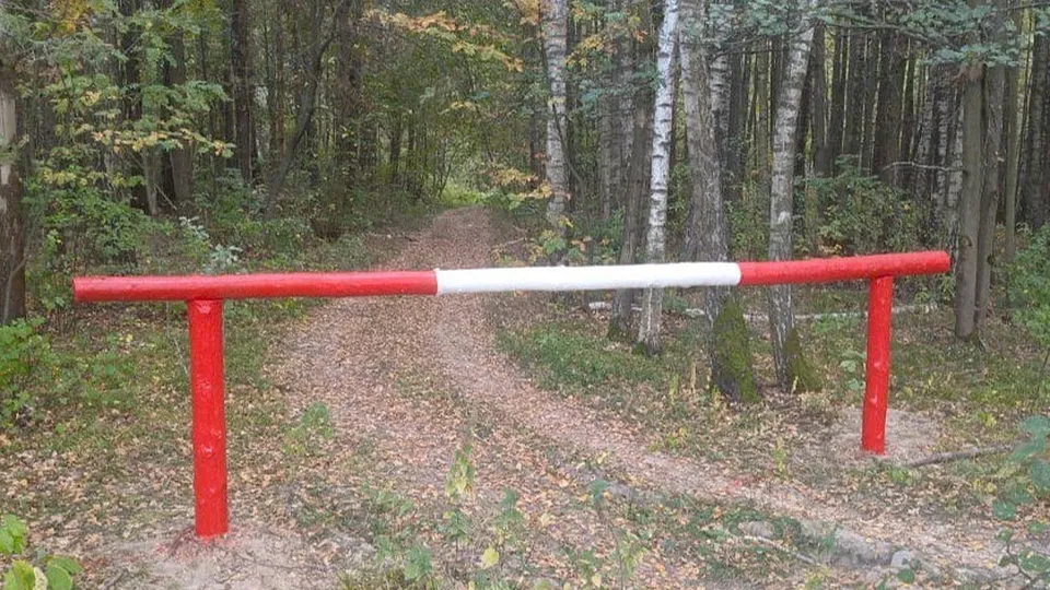 Фото: Комитет лесного хозяйства Московской области