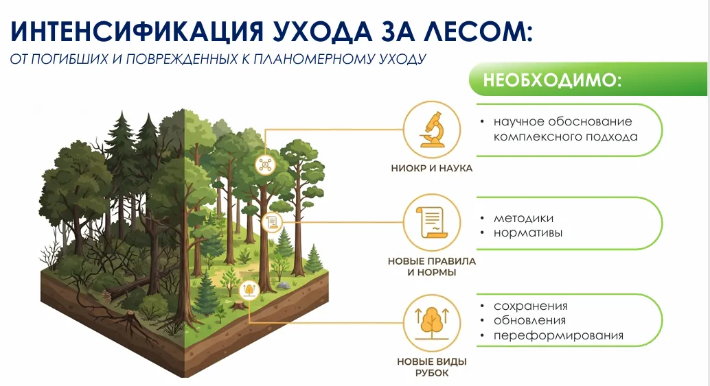 Комлесхоз МО