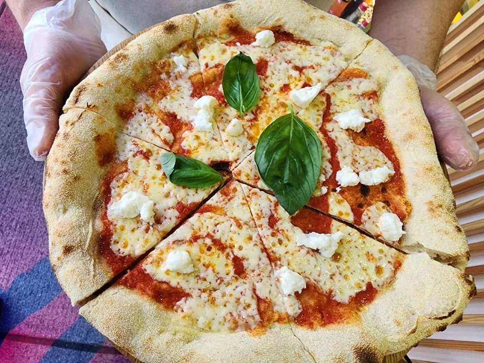 Фото: Хавива Фонина