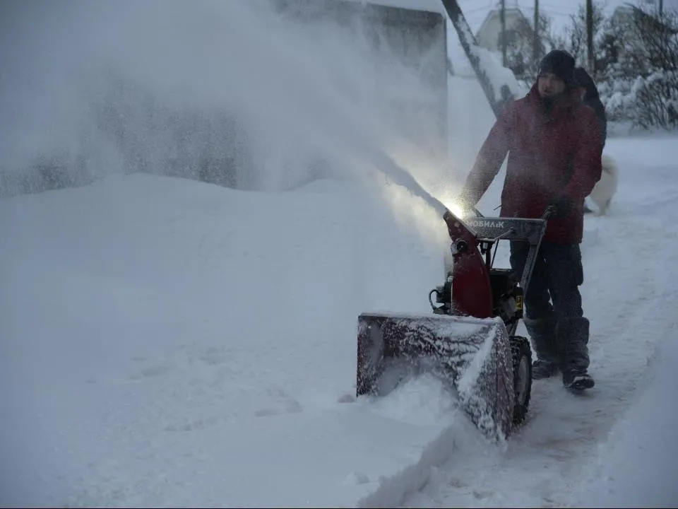 Владимир Останин