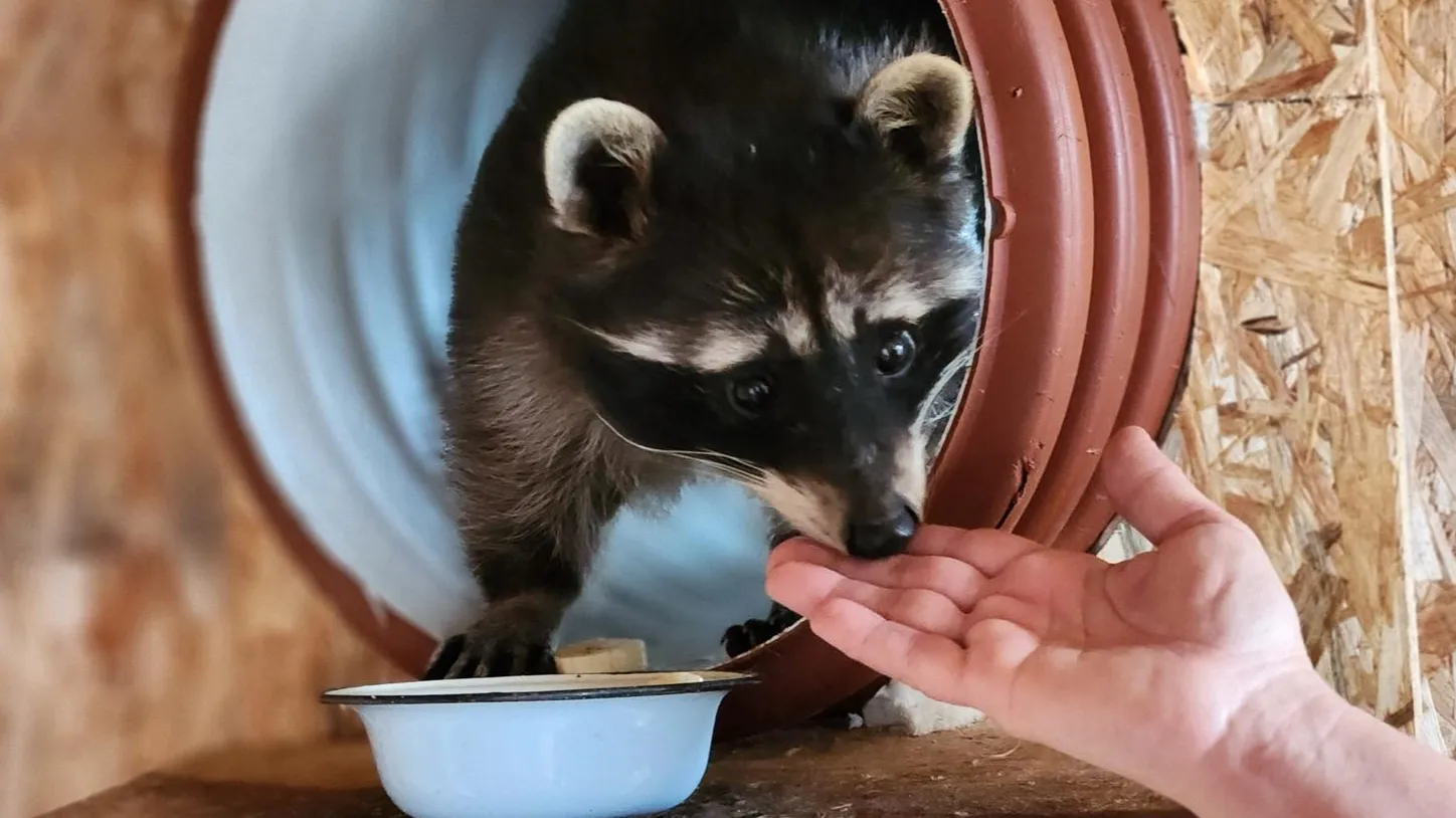 Фото: Екатерина Данилина