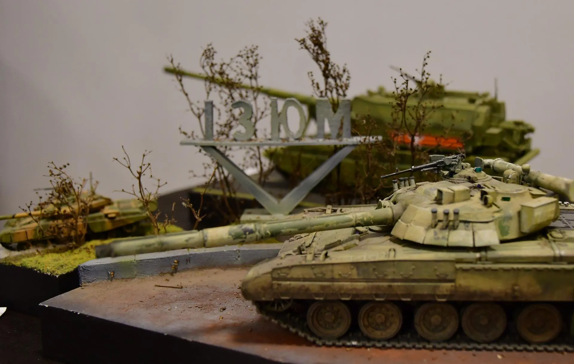 Фото: Наталья Бычкова/Ступинская панорама