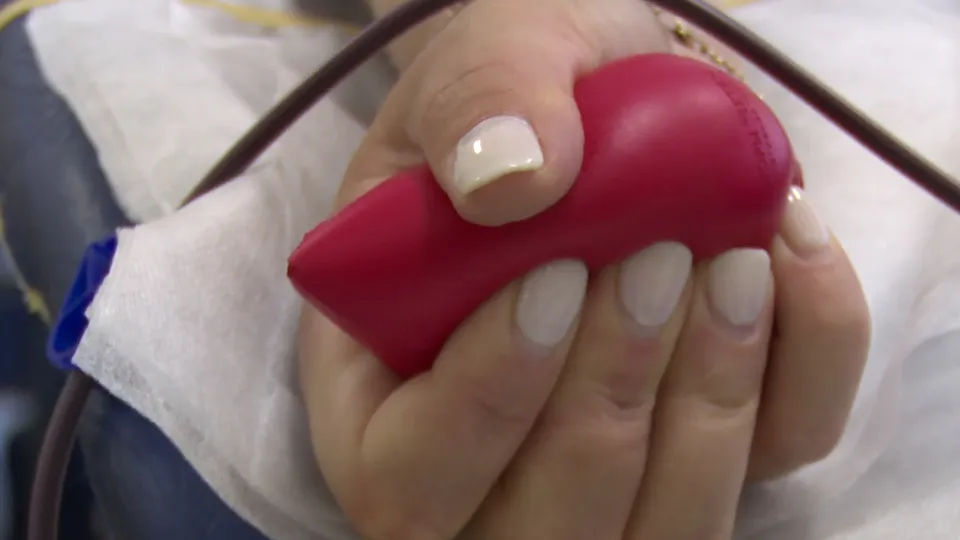 Фото: МедиаБанк Подмосковья/Ксения Казакова