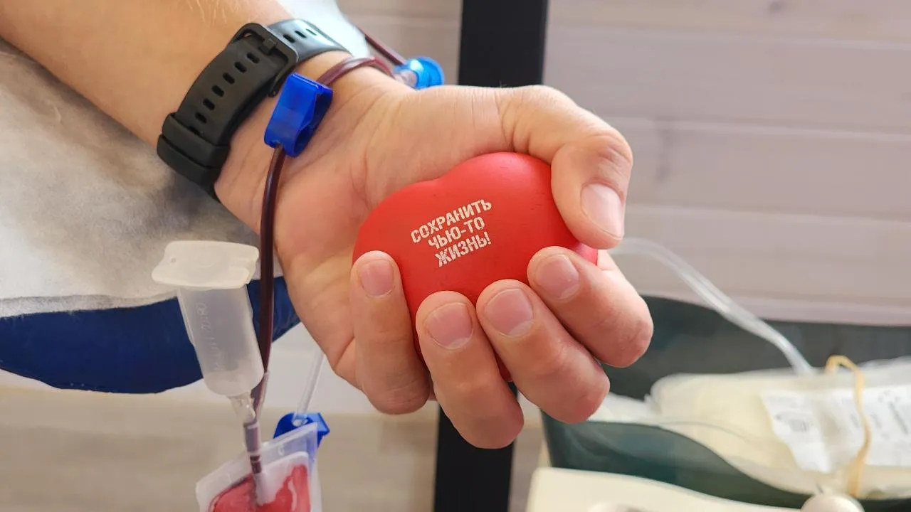 МедиаБанк Подмосковья/Валерия Тингаева