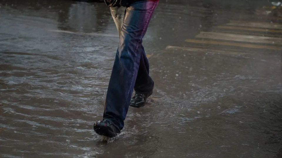 Фото: медиасток.рф