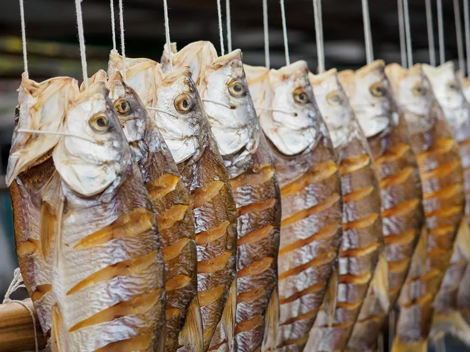 Фото: istockphoto.com