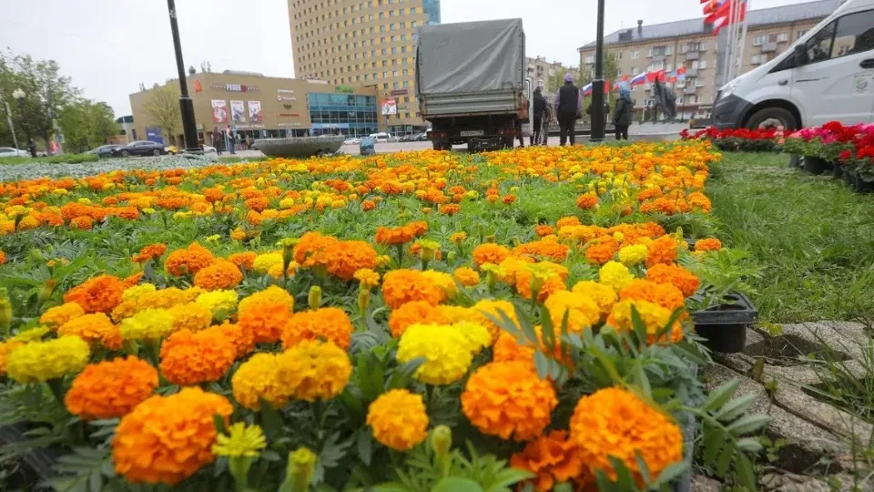 Фото: пресс-служба администрации г.о. Балашиха