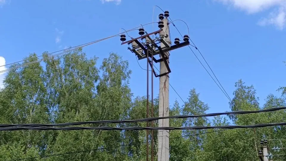 Фото: МедиаБанк Подмосковья/Ольга Антонова