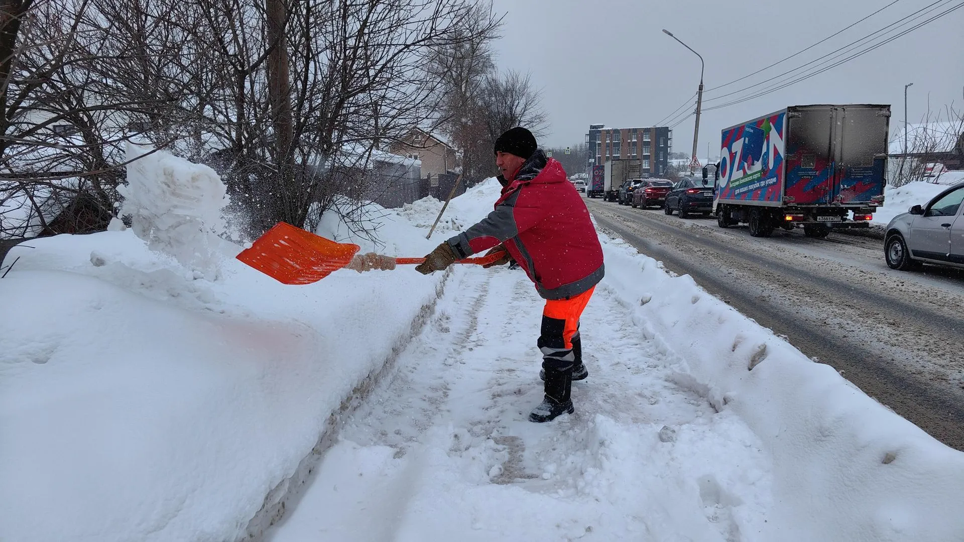 Елена Катасонова