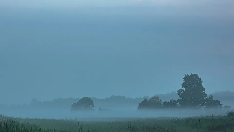 Фото: Антон Кондратюк