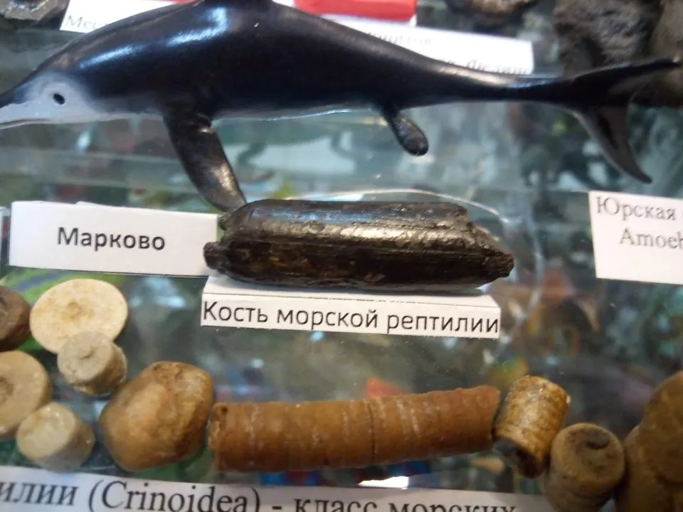 Фото: Вячеслав Смирнов&nbsp;