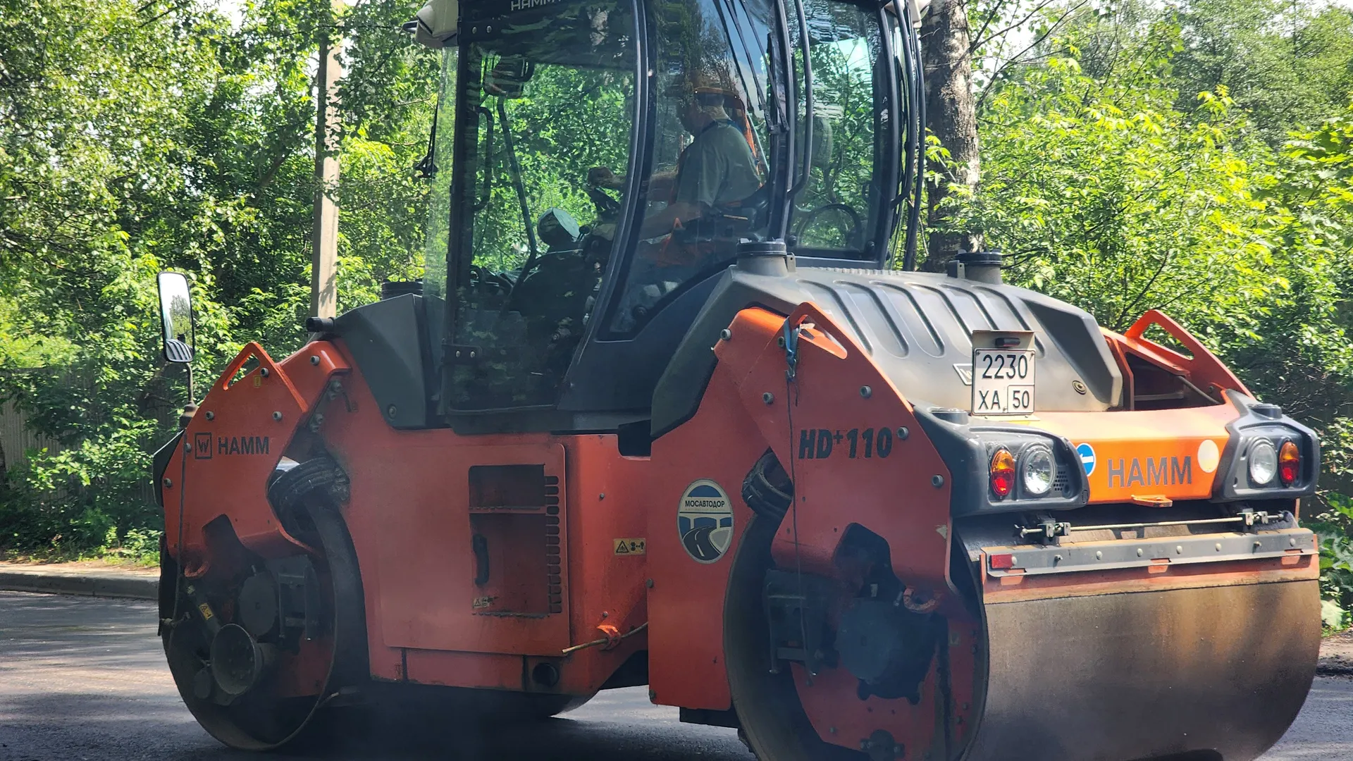 Фото: REGIONS/Ольга Аввакумова