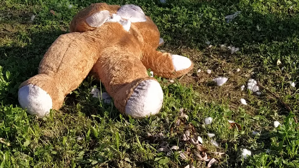 Фото: istockphoto.com