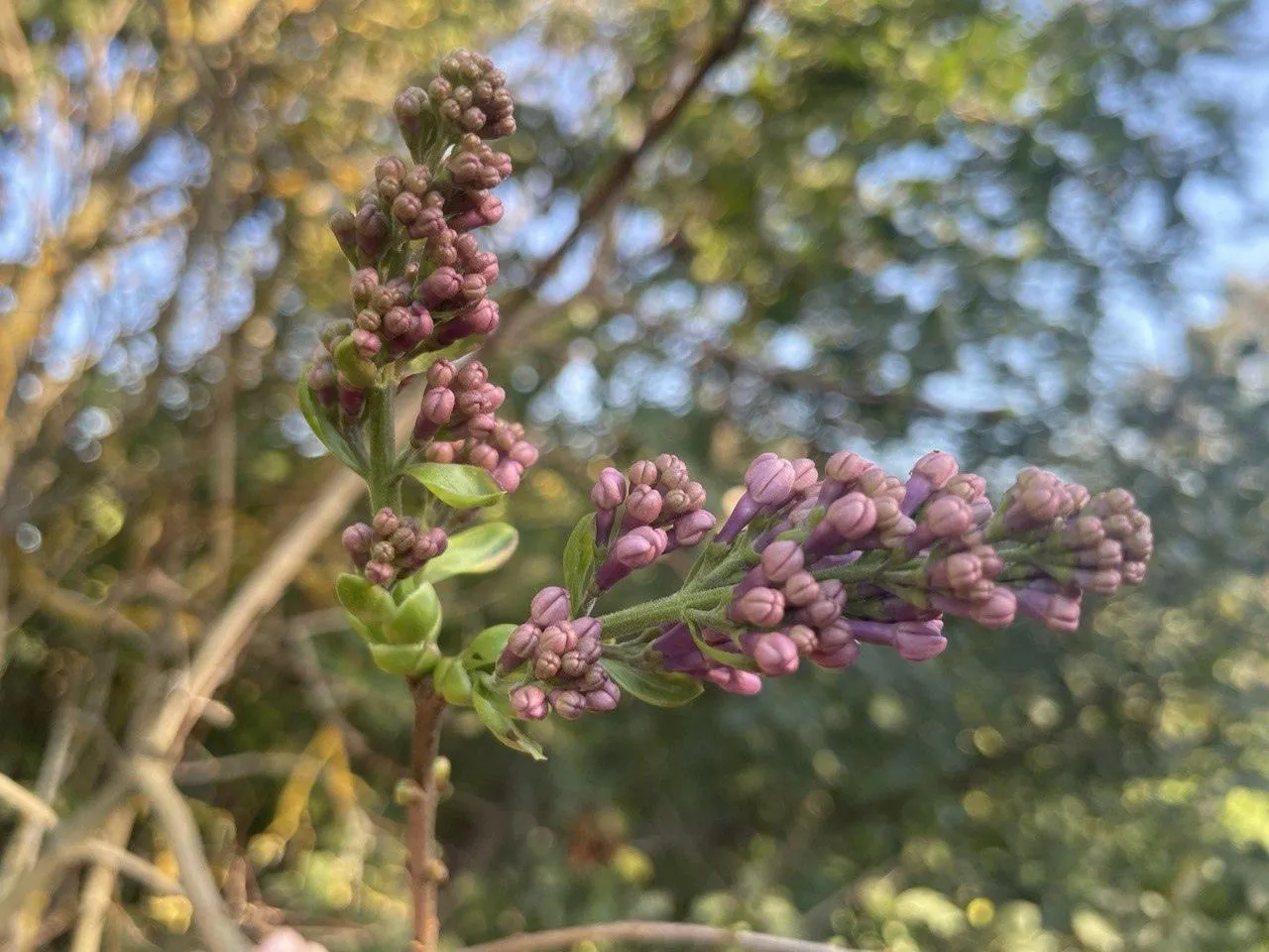 Фото: социальные сети