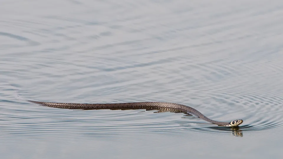 Фото: istockphoto.com