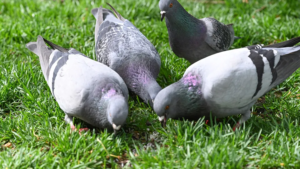 Фото: istockphoto.com