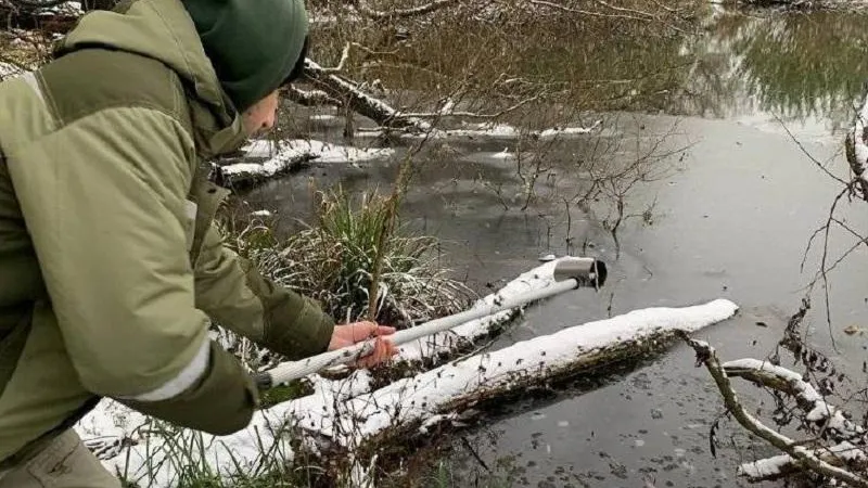 Фото Минэкологии МО.
