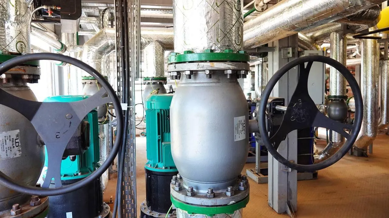 Фото: Дарья Леонова